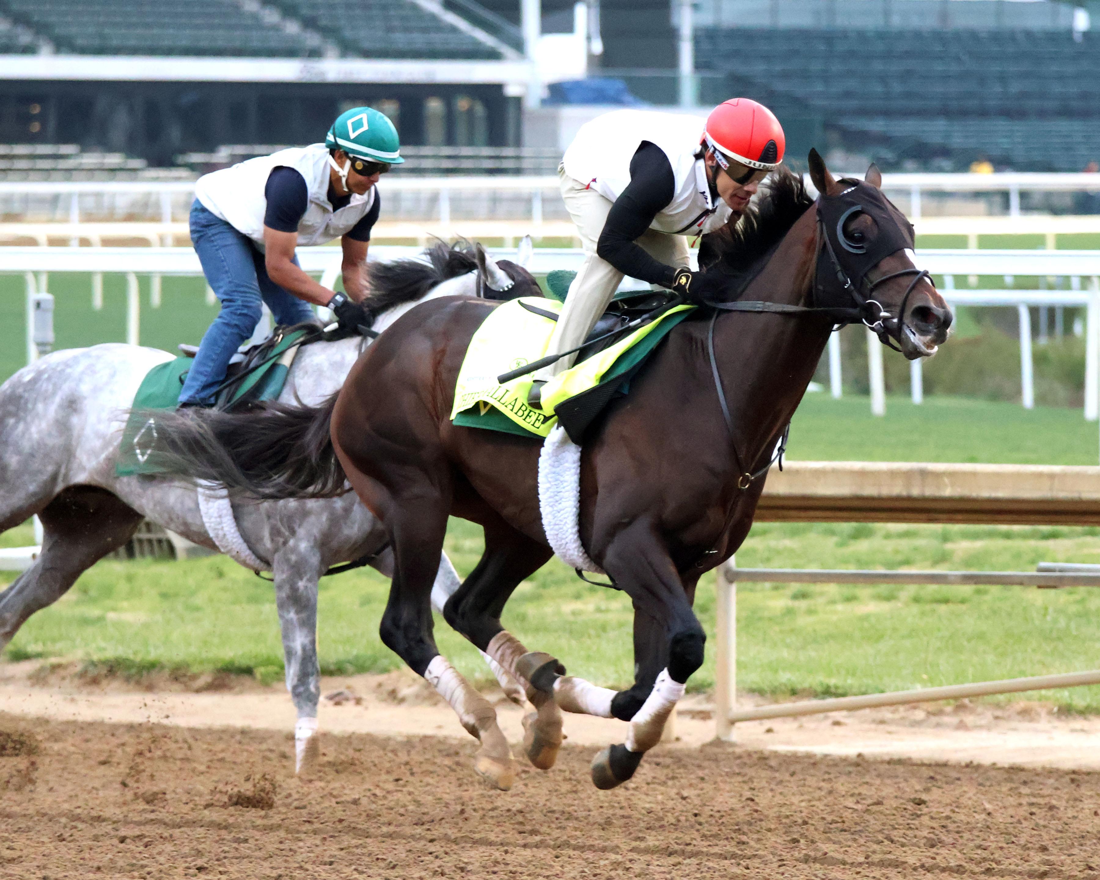 Chief Wallabee, Triple Crown, Kentucky Derby, Churchill Downs, horse racing, America's Best Racing, ABR
